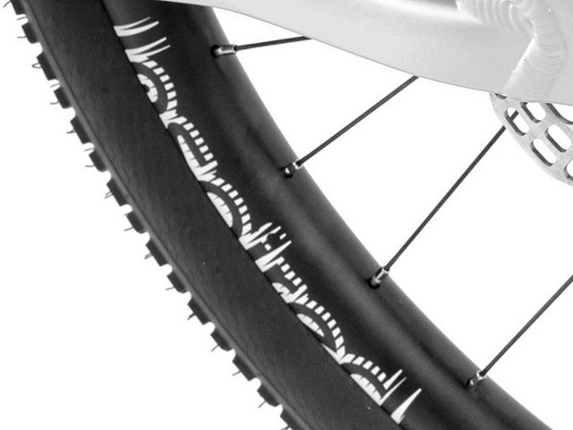 Rims